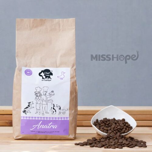 chef a 4 zampe raca mini