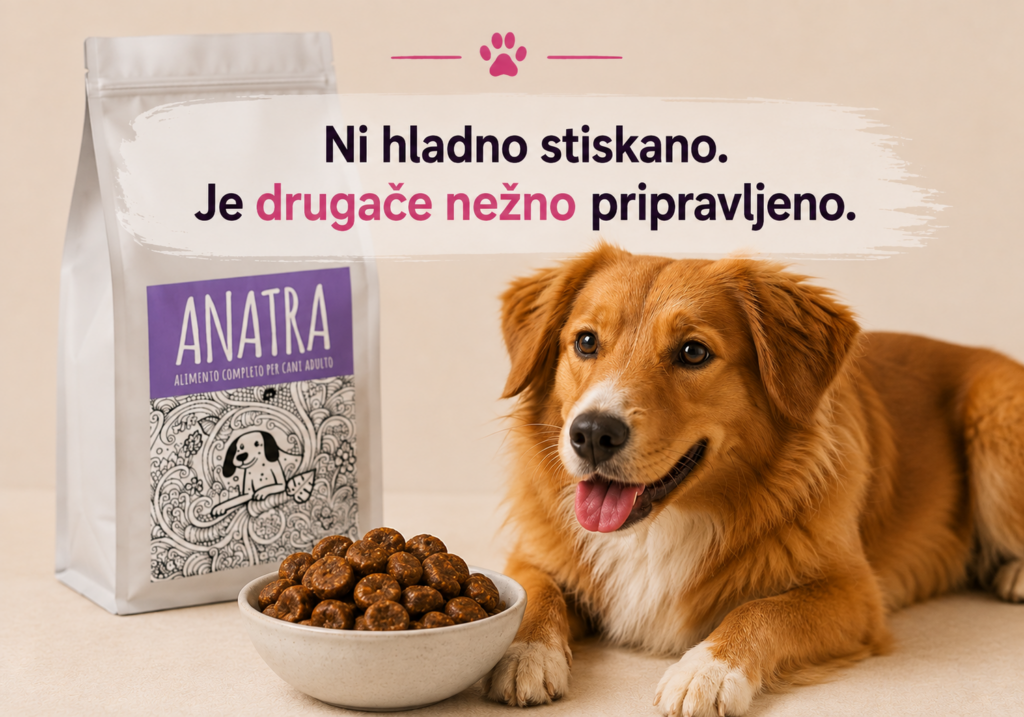 Polvlažni briketi Chef a 4 Zampe, pripravljeni po nežnem Tenderize postopku, ob psu in skledi hrane.